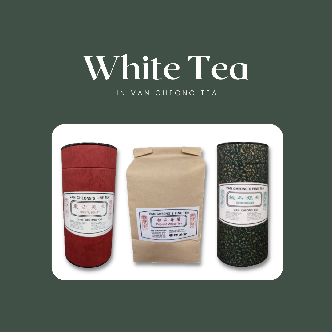 White Tea | 白茶 – Van Cheong Tea
